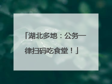 湖北多地：公务一律扫码吃食堂！