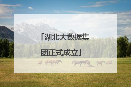 湖北大数据集团正式成立