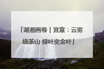 湖湘画卷｜宜章：云雾绕茶山 绿叶变金叶