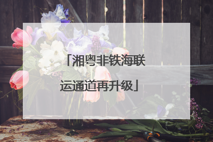 湘粤非铁海联运通道再升级