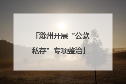 滁州开展“公款私存”专项整治