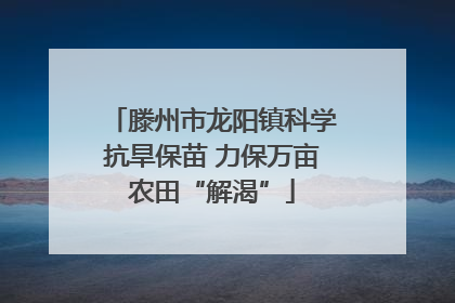 滕州市龙阳镇科学抗旱保苗 力保万亩农田“解渴”