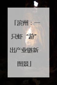 滨州：一只虾“游”出产业链新图景
