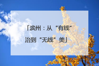 滨州：从“有线”治到“无线”美