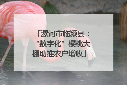 漯河市临颍县：“数字化”樱桃大棚助推农户增收