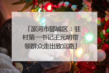 漯河市郾城区：驻村第一书记王元明带领群众走出致富路