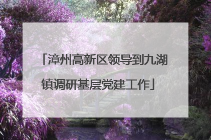 漳州高新区领导到九湖镇调研基层党建工作