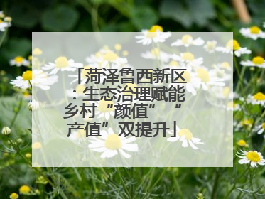 菏泽鲁西新区：生态治理赋能乡村“颜值”“产值”双提升