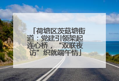 荷塘区茨菇塘街道：党建引领架起连心桥，“双联夜访”织就端午情