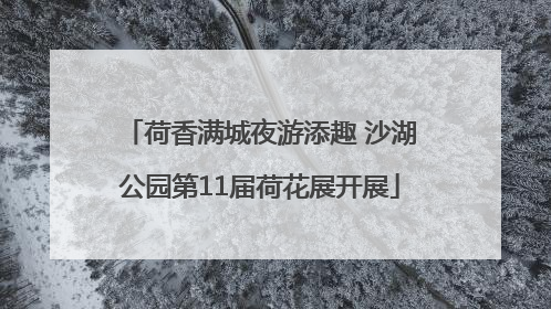 荷香满城夜游添趣 沙湖公园第11届荷花展开展