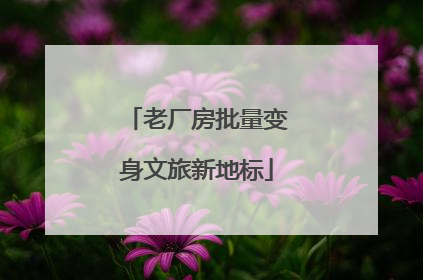 老厂房批量变身文旅新地标