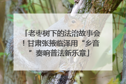 老枣树下的法治故事会！甘肃张掖临泽用“乡音”奏响普法新乐章