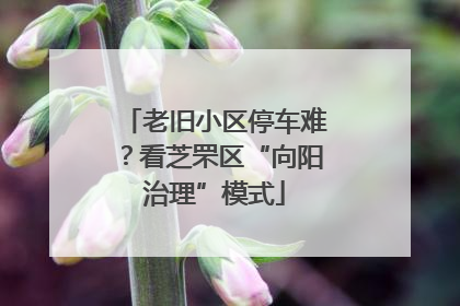 老旧小区停车难？看芝罘区“向阳治理”模式
