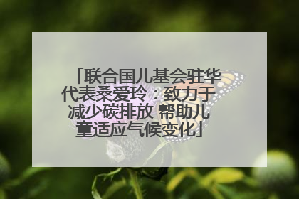 联合国儿基会驻华代表桑爱玲：致力于减少碳排放 帮助儿童适应气候变化