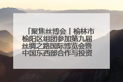 聚焦丝博会丨榆林市榆阳区组团参加第九届丝绸之路国际博览会暨中国东西部合作与投资贸易洽谈会
