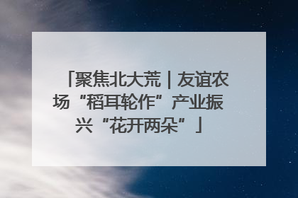 聚焦北大荒｜友谊农场“稻耳轮作”产业振兴“花开两朵”