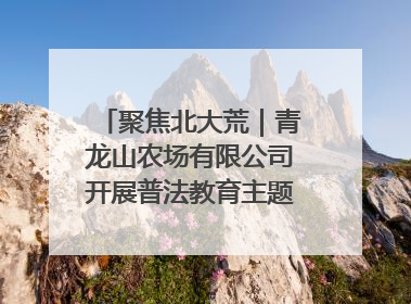 聚焦北大荒｜青龙山农场有限公司开展普法教育主题党日活动
