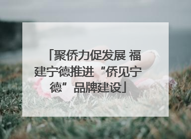 聚侨力促发展 福建宁德推进“侨见宁德”品牌建设