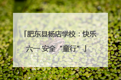 肥东县杨店学校：快乐六一 安全“童行”