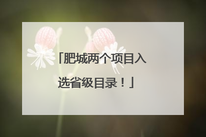 肥城两个项目入选省级目录！