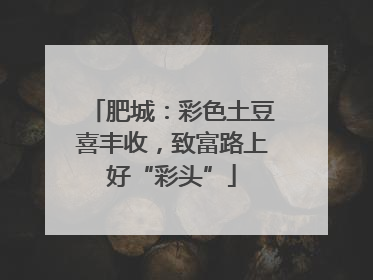 肥城：彩色土豆喜丰收，致富路上好“彩头”