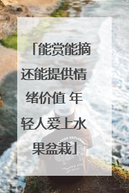 能赏能摘还能提供情绪价值 年轻人爱上水果盆栽