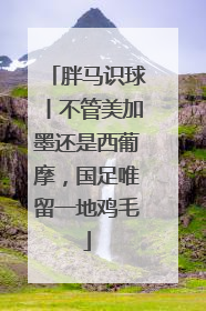 胖马识球丨不管美加墨还是西葡摩，国足唯留一地鸡毛