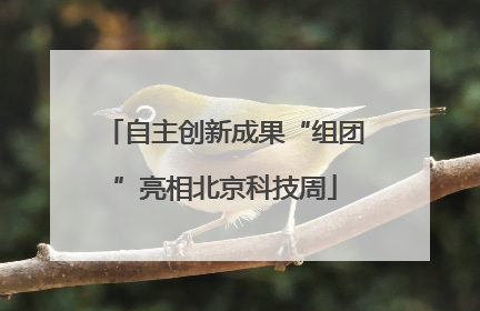 自主创新成果“组团”亮相北京科技周
