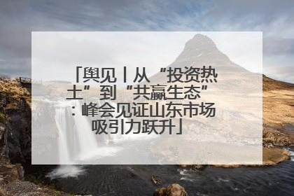 舆见丨从“投资热土”到“共赢生态”：峰会见证山东市场吸引力跃升
