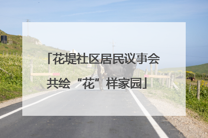 花堤社区居民议事会共绘“花”样家园