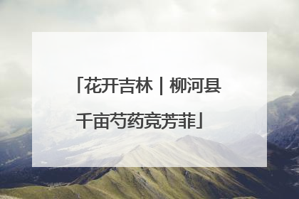 花开吉林｜柳河县千亩芍药竞芳菲