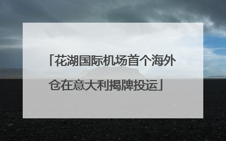花湖国际机场首个海外仓在意大利揭牌投运