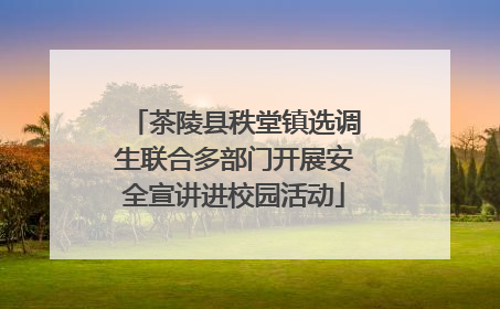 茶陵县秩堂镇选调生联合多部门开展安全宣讲进校园活动