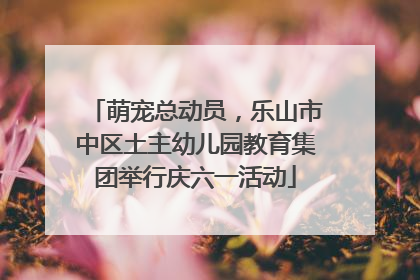 萌宠总动员，乐山市中区土主幼儿园教育集团举行庆六一活动
