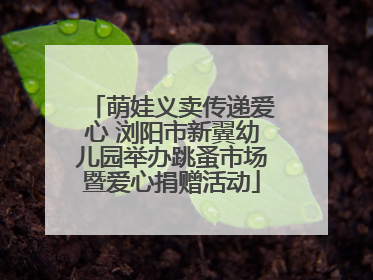 萌娃义卖传递爱心 浏阳市新翼幼儿园举办跳蚤市场暨爱心捐赠活动