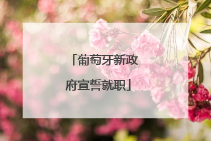 葡萄牙新政府宣誓就职