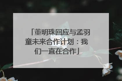 董明珠回应与孟羽童未来合作计划：我们一直在合作