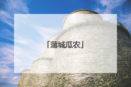 蒲城瓜农