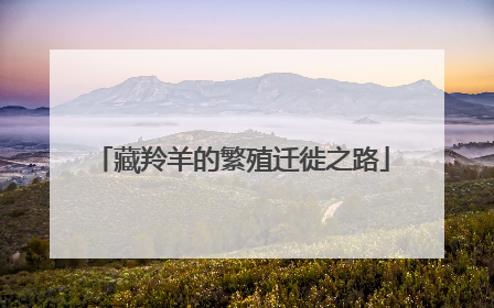 藏羚羊的繁殖迁徙之路