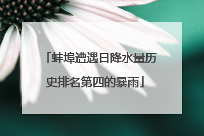 蚌埠遭遇日降水量历史排名第四的暴雨