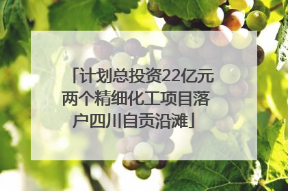 计划总投资22亿元 两个精细化工项目落户四川自贡沿滩