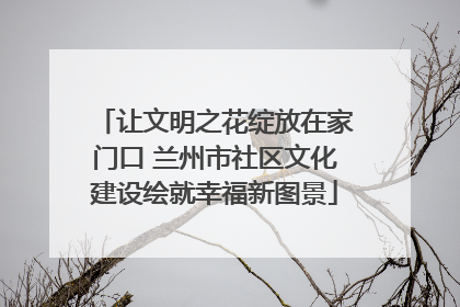 让文明之花绽放在家门口 兰州市社区文化建设绘就幸福新图景