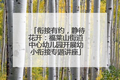 衔接有约，静待花开：福莱山街道中心幼儿园开展幼小衔接专题讲座