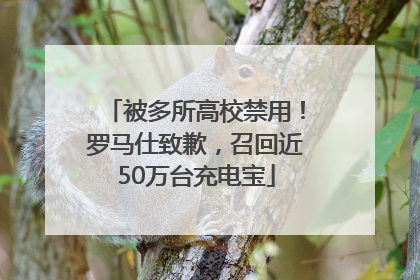 被多所高校禁用！罗马仕致歉，召回近50万台充电宝