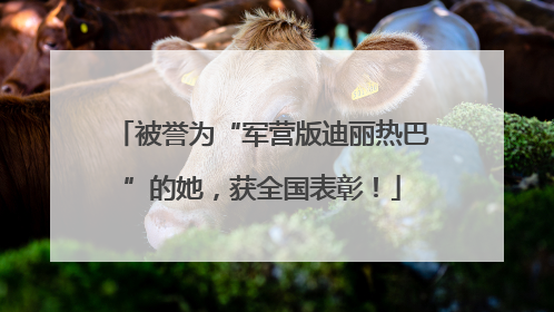 被誉为“军营版迪丽热巴”的她，获全国表彰！