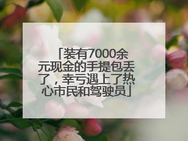 装有7000余元现金的手提包丢了，幸亏遇上了热心市民和驾驶员