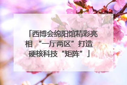 西博会绵阳馆精彩亮相 “一厅两区”打造硬核科技“矩阵”