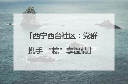 西宁西台社区：党群携手 “粽”享温情