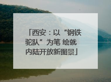 西安：以“钢铁驼队”为笔 绘就内陆开放新图景