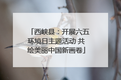 西峡县：开展六五环境日主题活动 共绘美丽中国新画卷